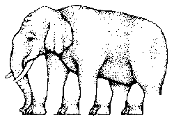 elephant.gif (2620 bytes)